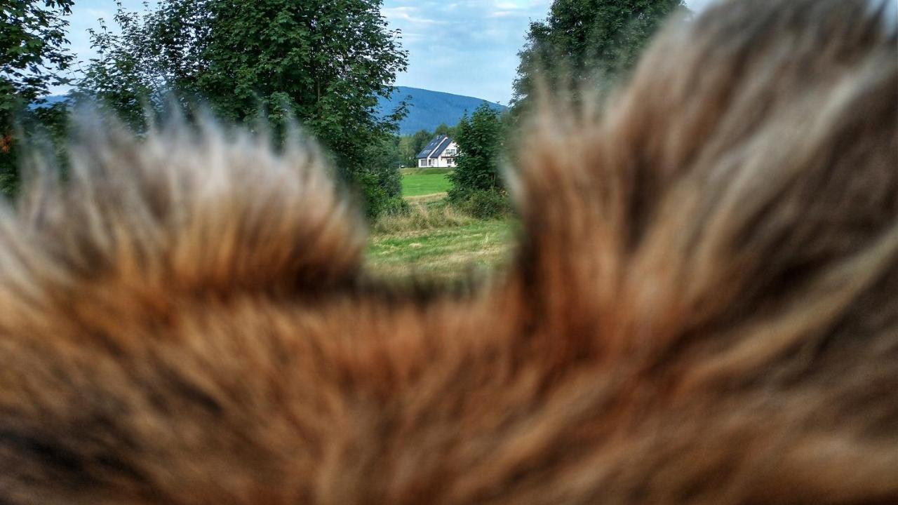 Rezydencja Ostoja Stronie Slaskie Exterior foto