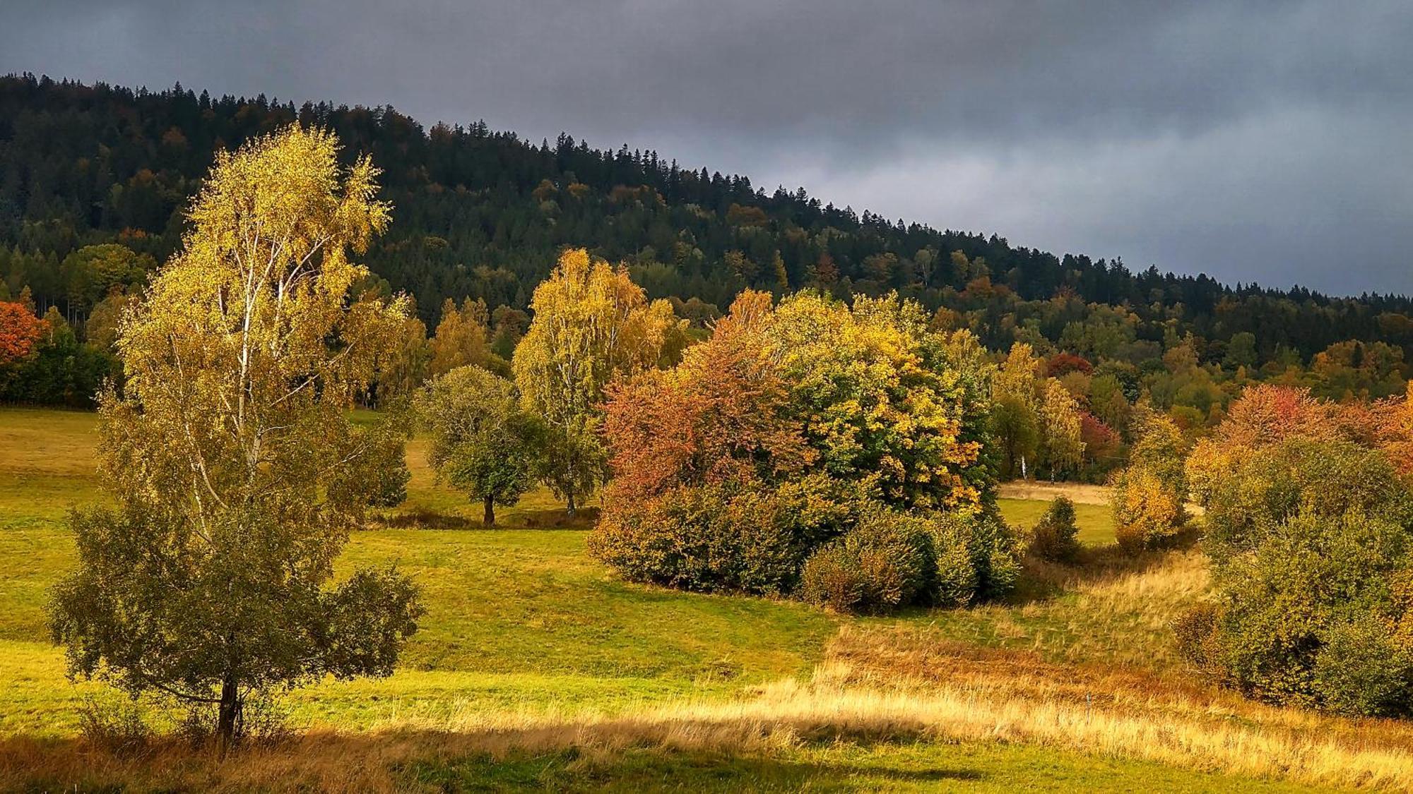 Rezydencja Ostoja Stronie Slaskie Exterior foto
