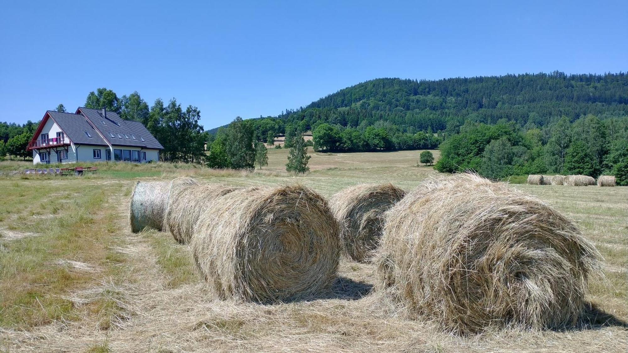 Rezydencja Ostoja Stronie Slaskie Exterior foto