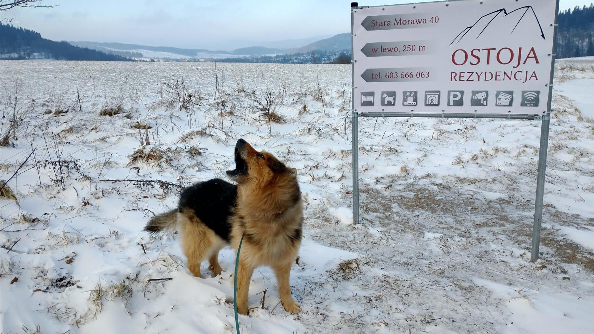 Rezydencja Ostoja Stronie Slaskie Exterior foto